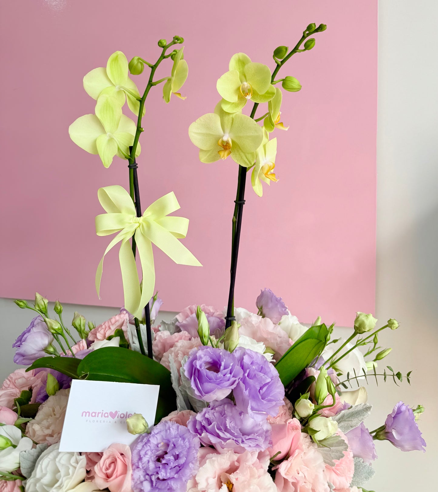 Cafecito de Orquídeas