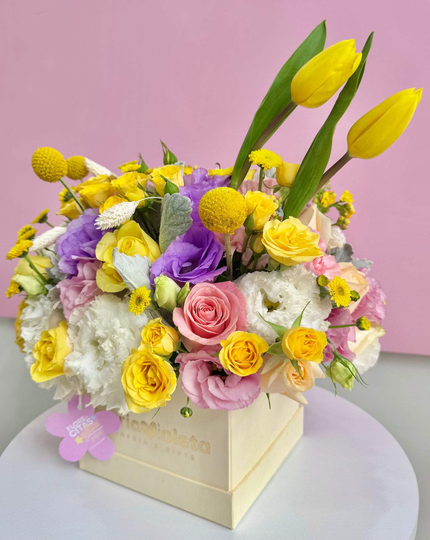 Amarelo Garden