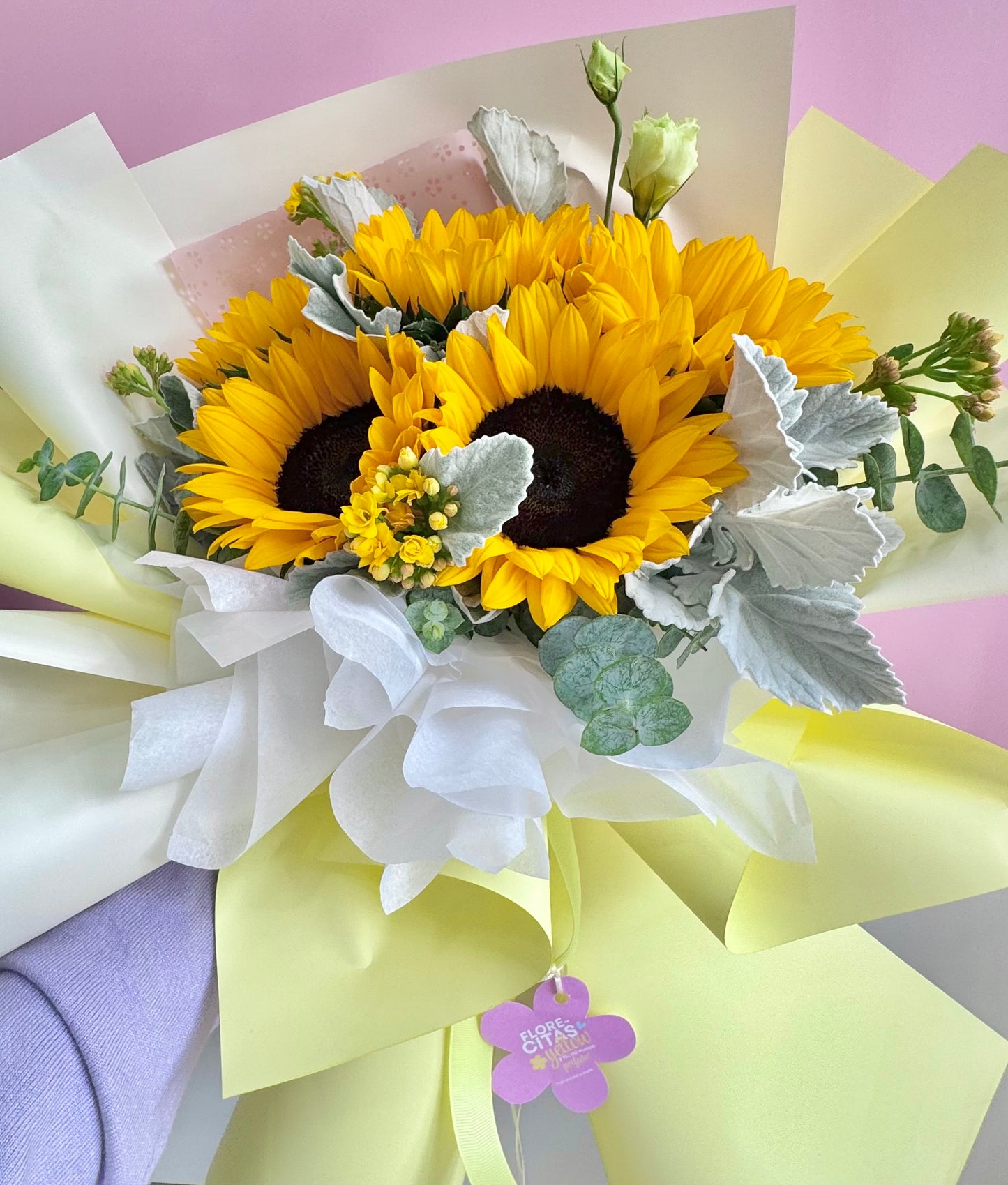 Girasoles Yelito