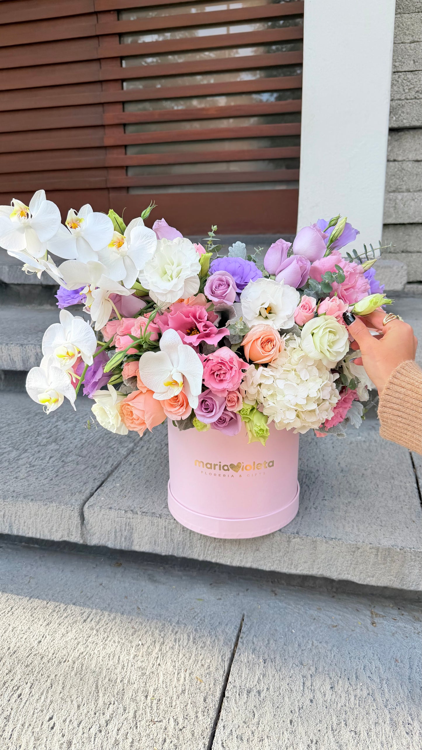 Antonella Pink