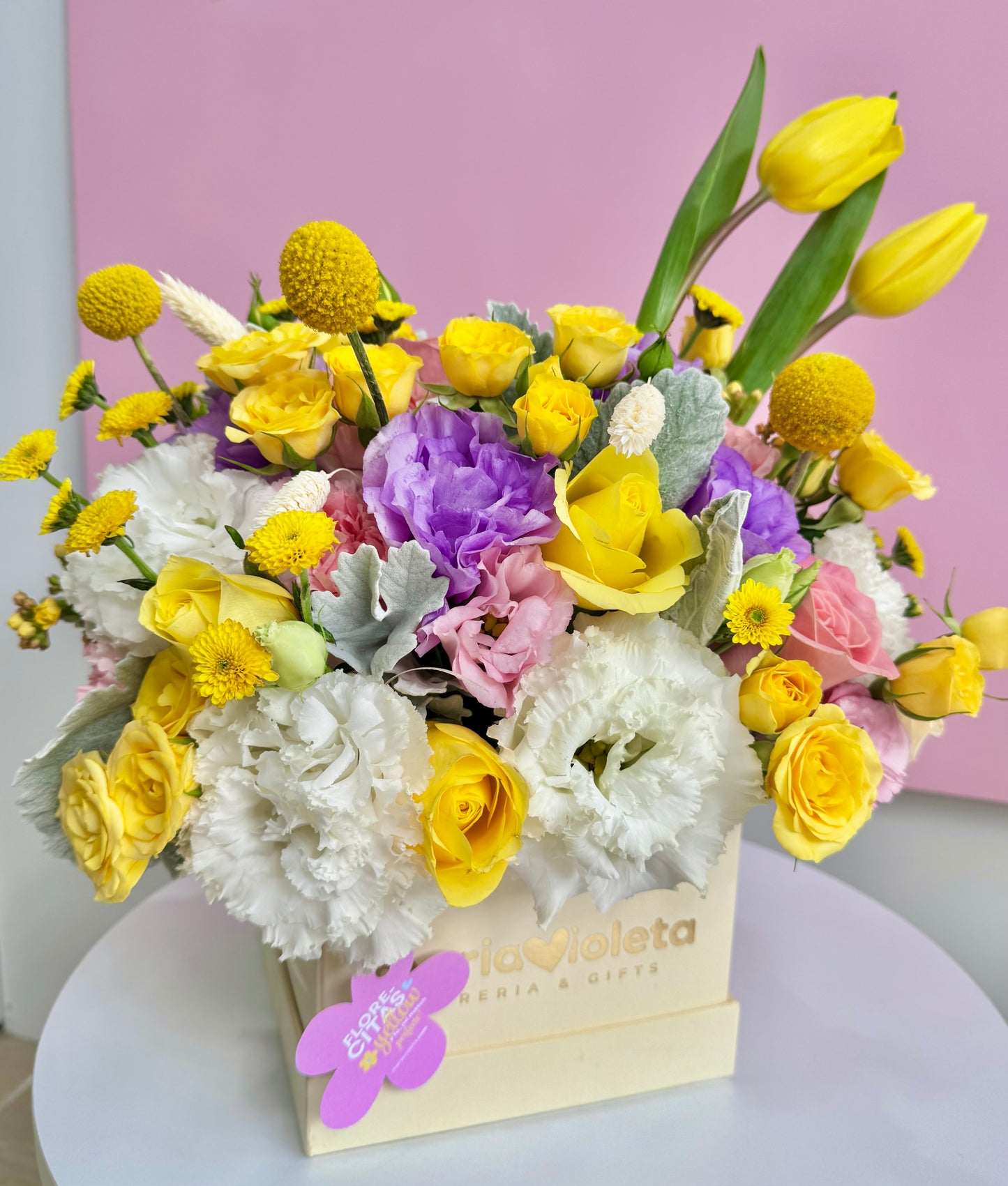 Amarelo Garden