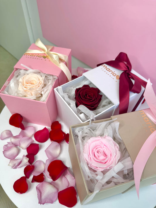 Rosa Eterna